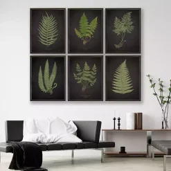 Fern Bookplate VII Framed Art Print