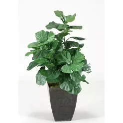 Fiddle Leaf Fig Tree in Black Planter, 4 ft.