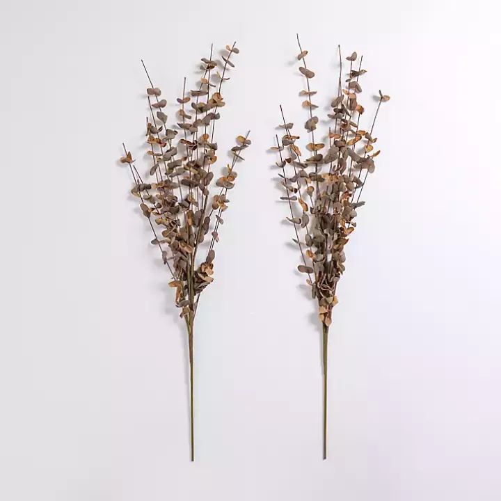 Foam Eucalyptus Sprays, Set of 2