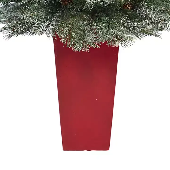 French Alps Mountain Pine Tree in Red Planter