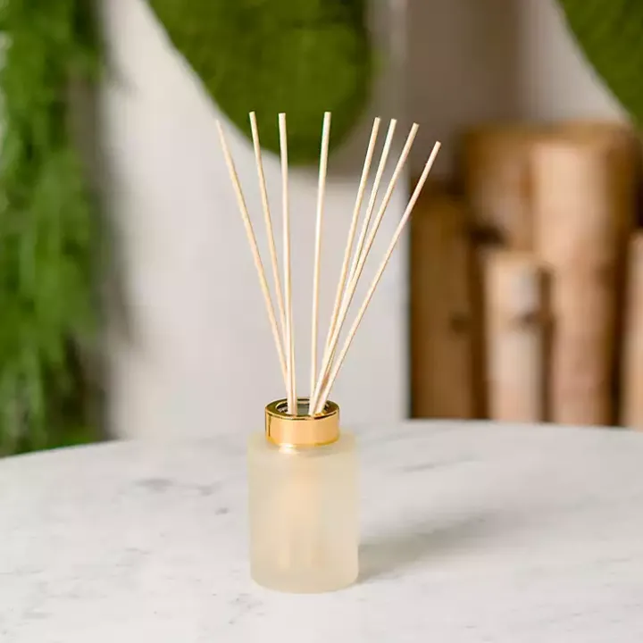 Fresh Fallen Snow Diffuser Set