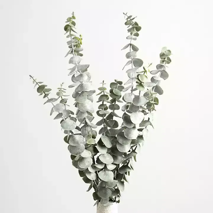 Frosted Eucalyptus Stem