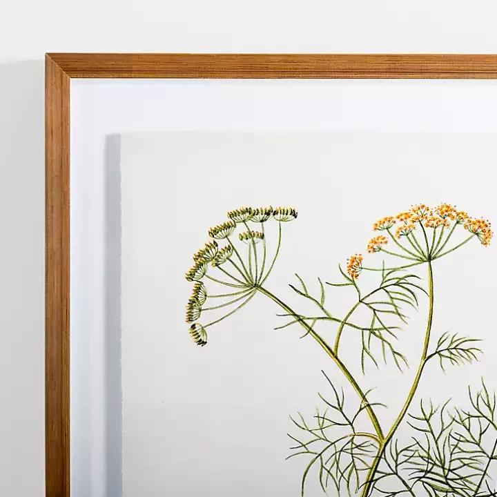 Golden Leaves Herbs Dill Framed Art Print