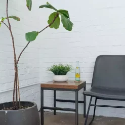 Grass Arrangement in White Ceramic Bowl