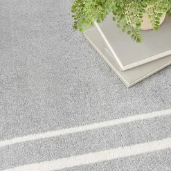 Gray Bordered Indoor/Outdoor Area Rug, 5x7