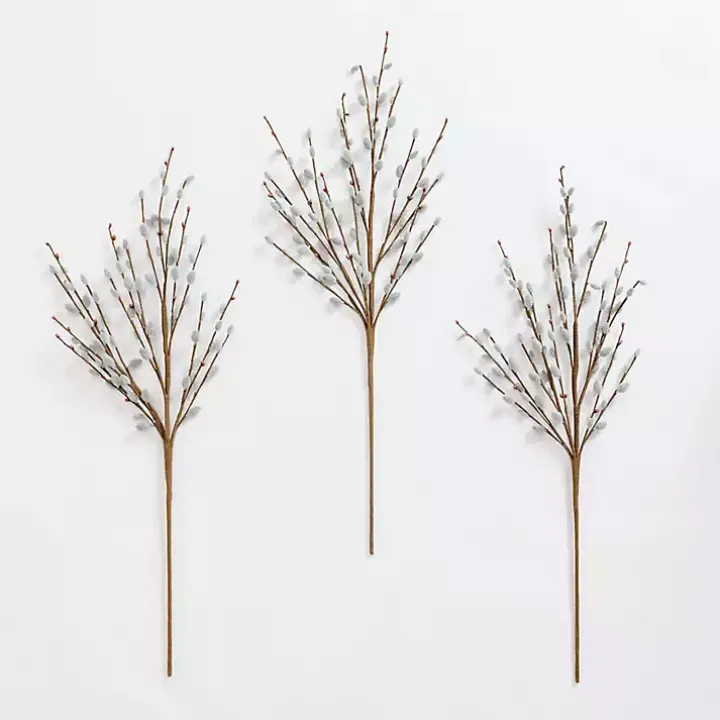 Gray Willow Stems, Set of 3