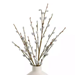 Gray Willow Stems, Set of 3