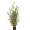 Green and Brown Potted Grass, 36 in.
