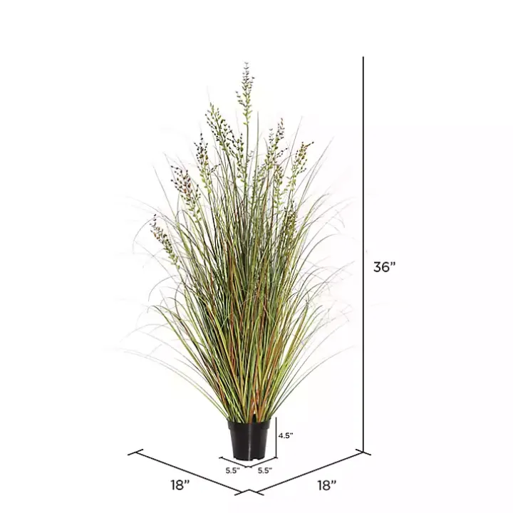 Green and Brown Potted Grass, 36 in.