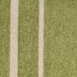 Green Bordered Indoor/Outdoor Area Rug, 5x7