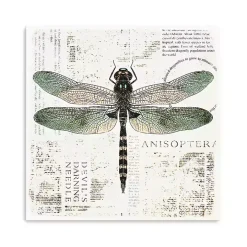 Green Dragonfly Canvas Art Print