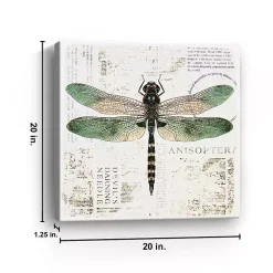Green Dragonfly Canvas Art Print