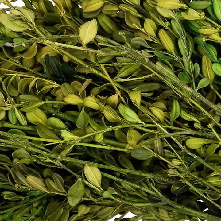 Green Foliage Wreath