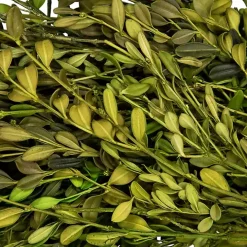 Green Foliage Wreath
