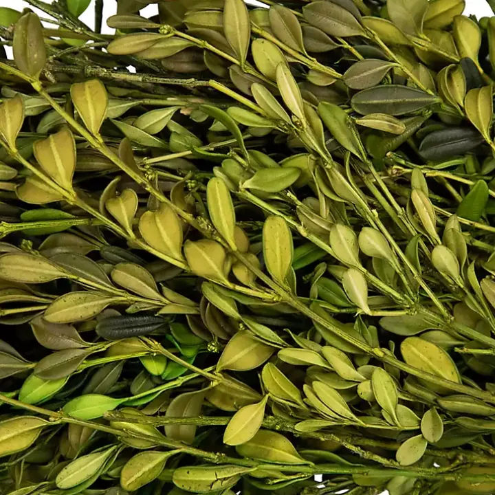 Green Foliage Wreath