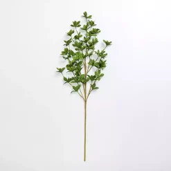 Green Leaves Stem