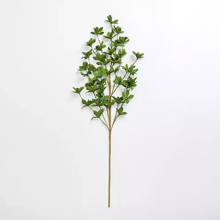 Green Leaves Stem