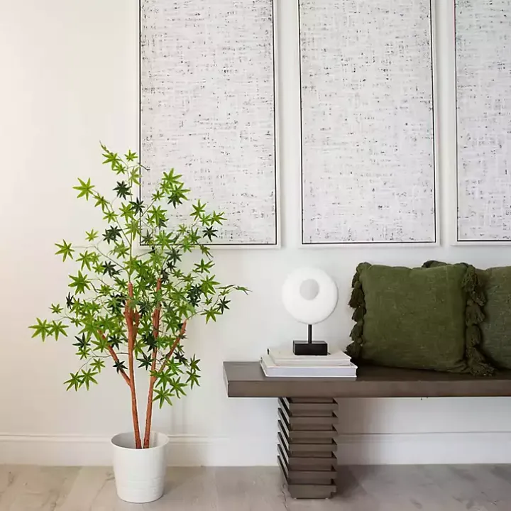 Green Maple Tree in Black Planter