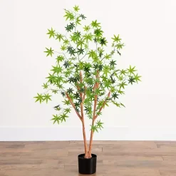 Green Maple Tree in Black Planter