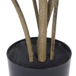Green Potted Cotinus Coggygria Tree, 4 ft.