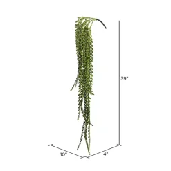 Green Senecio Bush