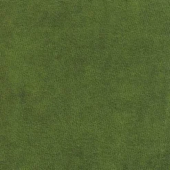 Green Velvet Upholstered Black Legs Accent Chair
