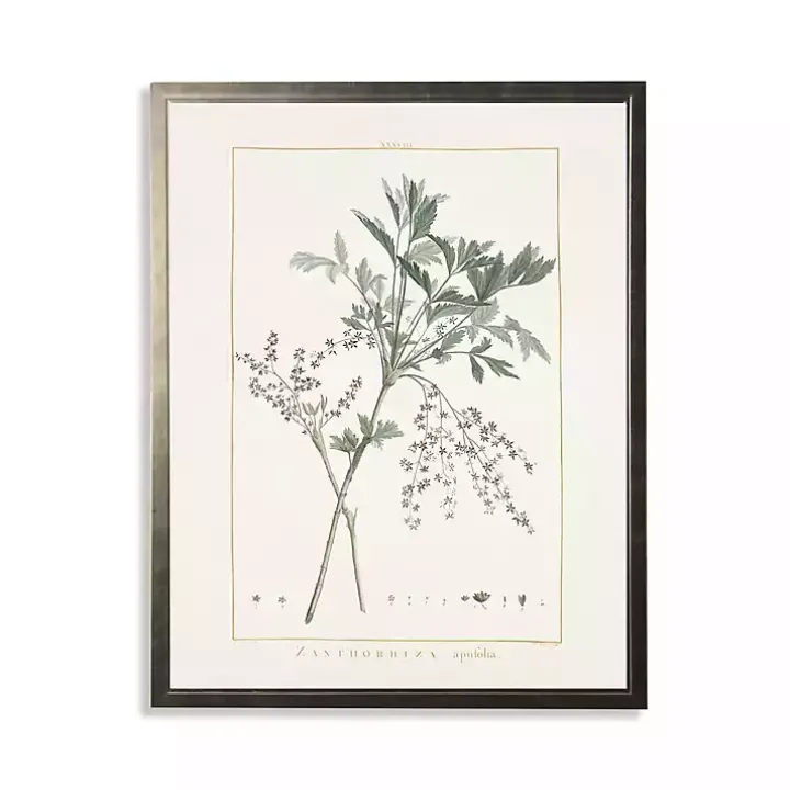 Greenery Botanical IV Pewter Framed Art Print