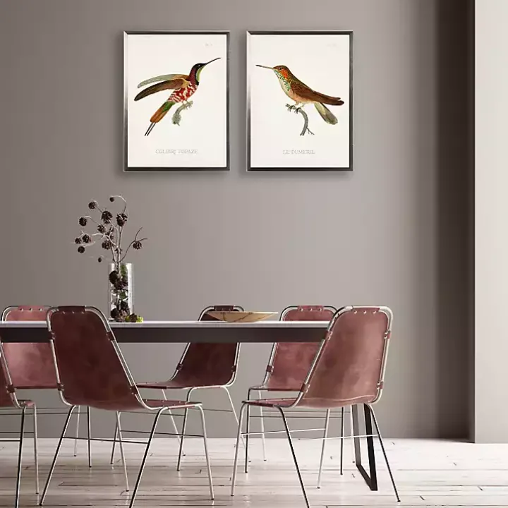 Hummingbird II Framed Art Print