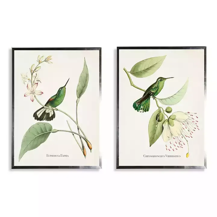 Hummingbirds on Flowers 2-pc. Framed Art Print Set