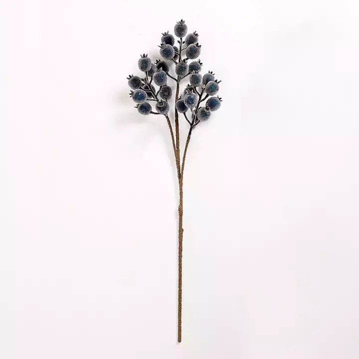 Iced Blue Berry Pick