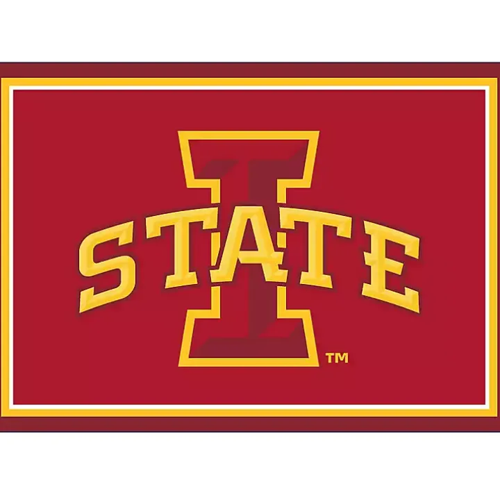 Iowa State University Area Rug, 3x4