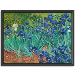 Irises Framed Canvas Art Print, 26x20 in.