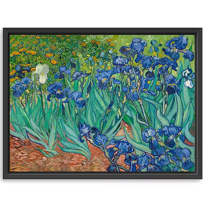 Irises Framed Canvas Art Print, 26x20 in.