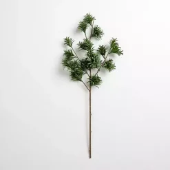 Japanese Pine Stem