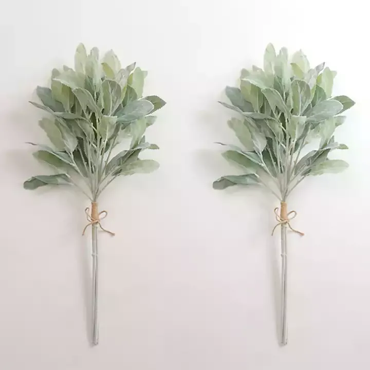 Lamb's Ear Bundles, Set of 2