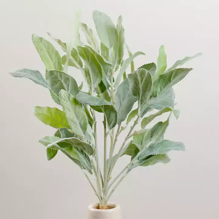 Lamb's Ear Bundles, Set of 2