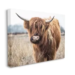 Longhorn in Tall Grass Canvas Art Print, 40x30 in.