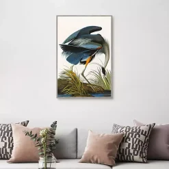 Louisiana Heron Framed Canvas Art Print