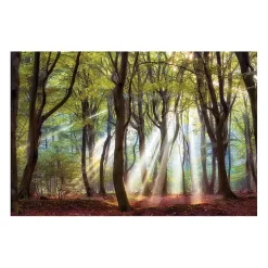 Majestic Morning Giclee Canvas Art Print
