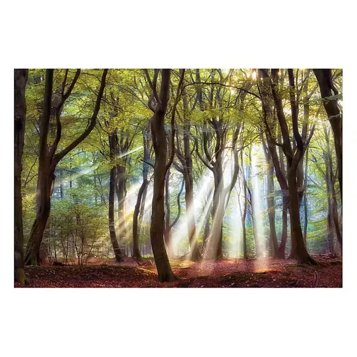 Majestic Morning Giclee Canvas Art Print