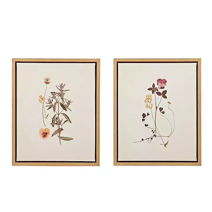 Martha Stewart French Herbarium Framed Art Set