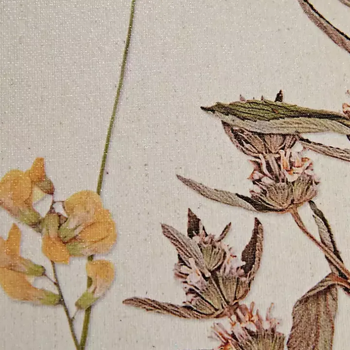 Martha Stewart French Herbarium Framed Art Set