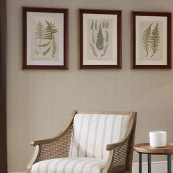 Martha Stewart Lady Fern Framed Art Print Set