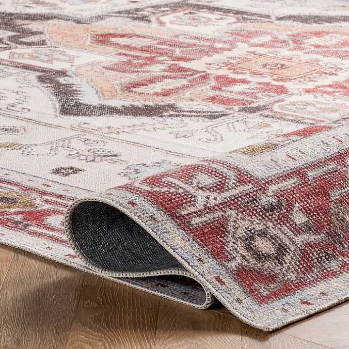 Miley Traditional Medallion Washable Area Rug, 4x6
