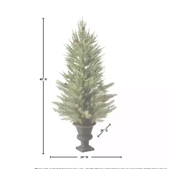 Mini Spruce Tree in Urn Planter