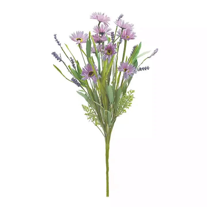 Mixed Purple Daisies Bushes, Set of 6