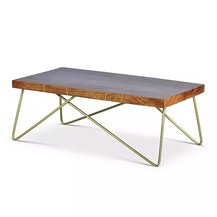 Modern Mango Wood Brass Coffee Table
