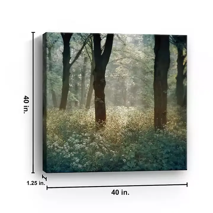 Morning in the Forest Giclee Canvas Art Print