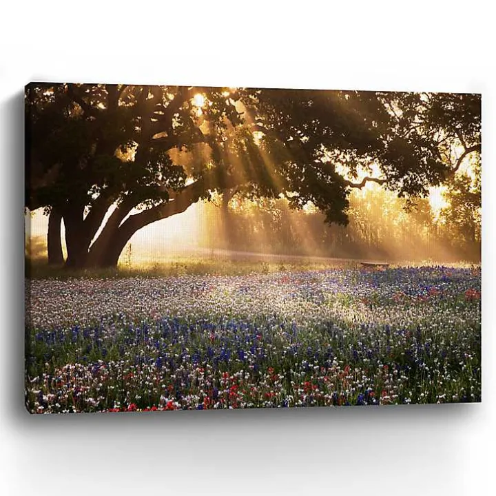 Morning Meadow Giclee Canvas Art Print, 48x36 in.