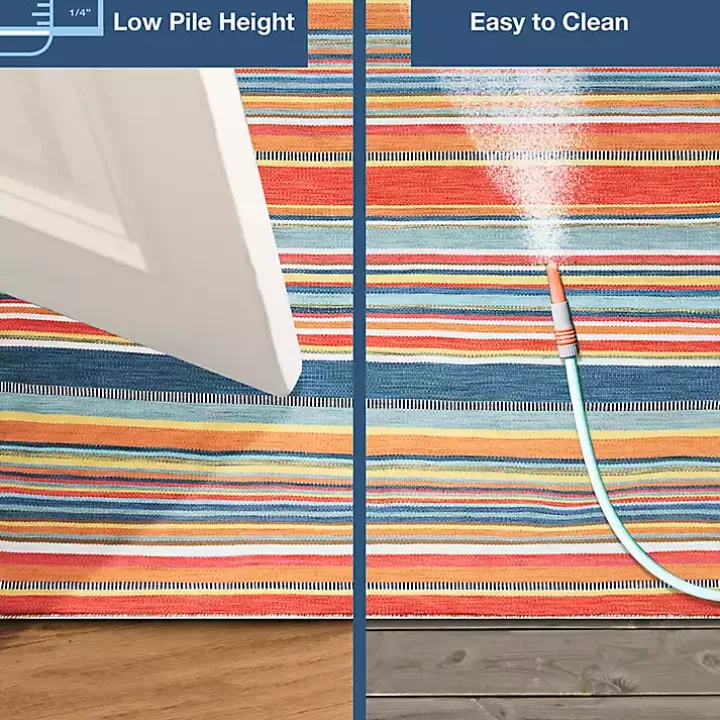 Multi Dhurri Stripe Indoor/Outdoor Scatter Rug